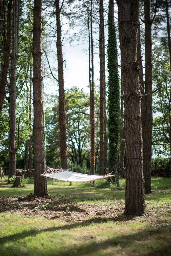Вілла Domaine De Pan Saint-Lyphard Екстер'єр фото