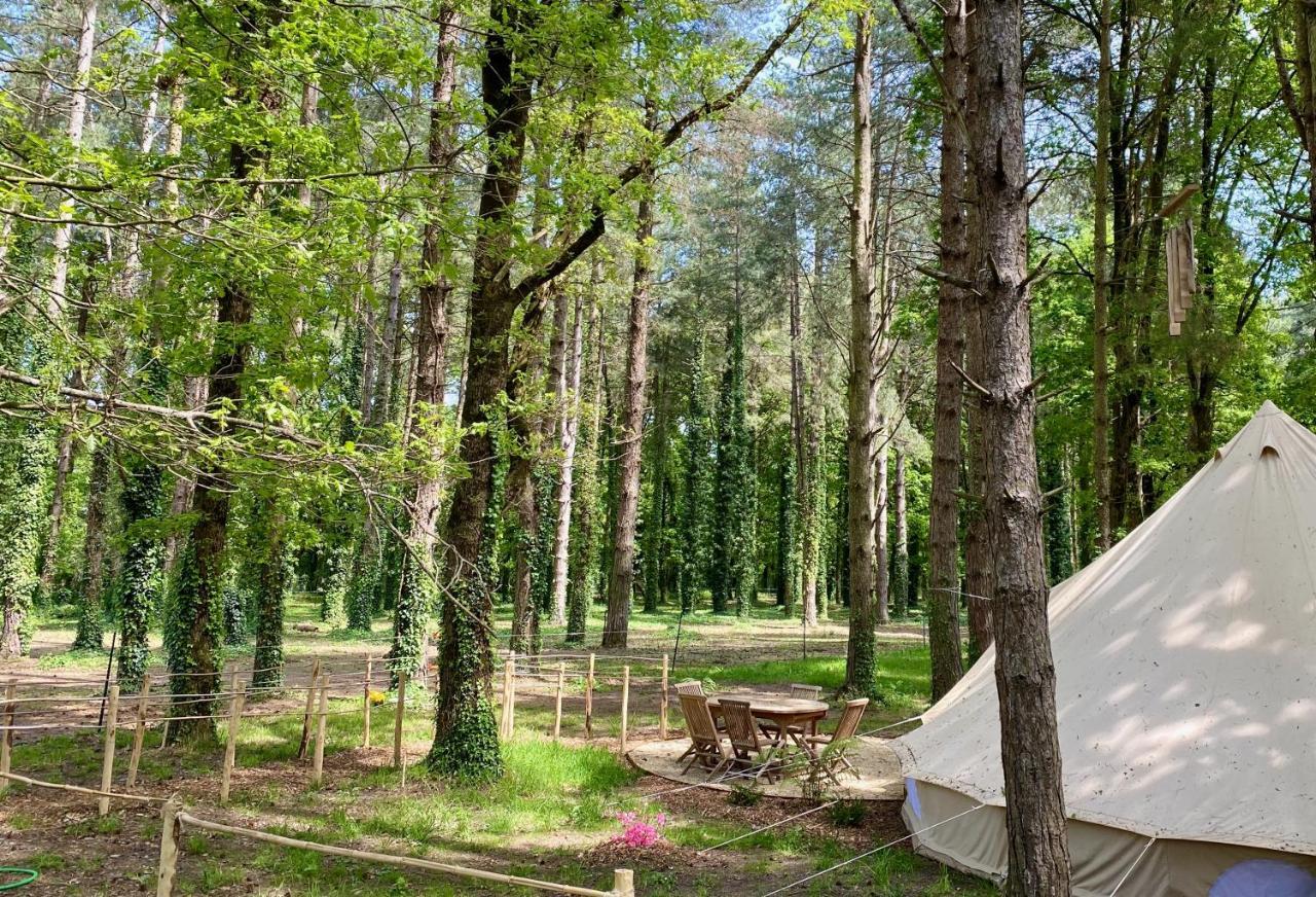 Вілла Domaine De Pan Saint-Lyphard Екстер'єр фото
